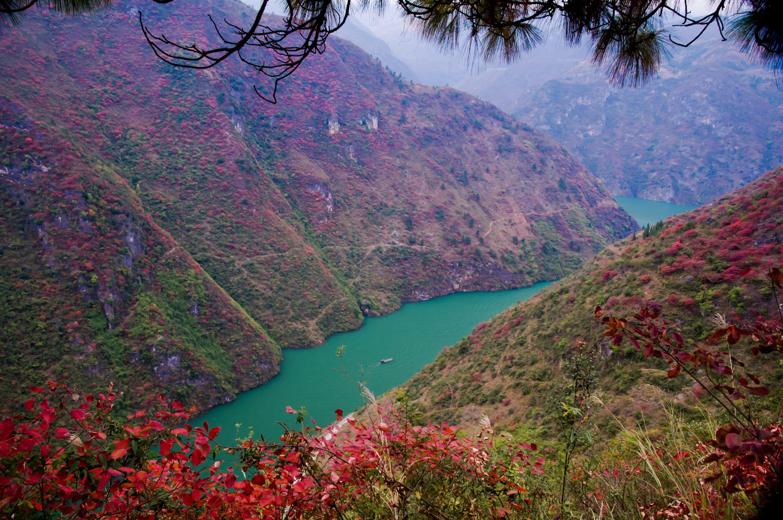 Green Yangtze waters winding between steep hills covered in red autumn foliage, seen on a Yangtze river cruise